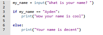 input example